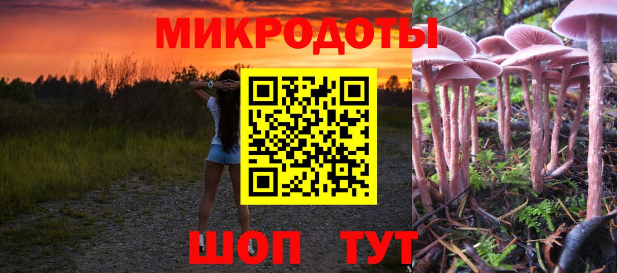 Орехово-Зуево  Псилоцибиновые грибы Psilocybine cubensis  Псилоцибиновые грибы Psilocybe  Вход с VPN 